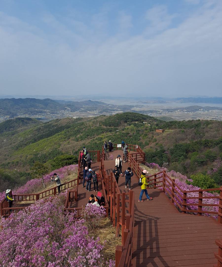 군락지 데크길 포토존