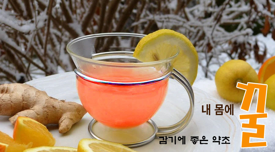  감기.목감기.감기 예방법.감기에 좋은 약초