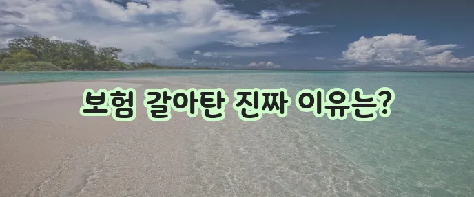 삼성 화재 다이렉트에서 DB 다이렉트로 갱신한 후기