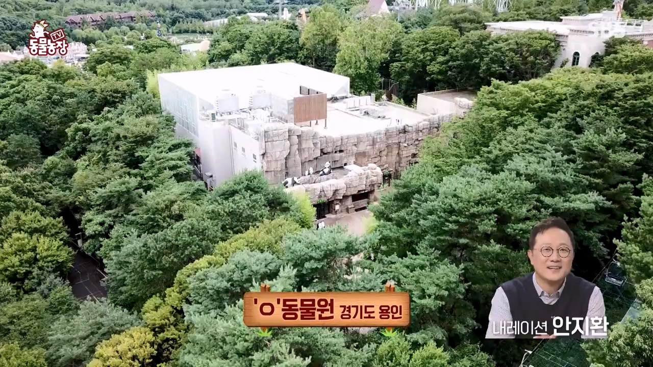 TV 동물농장.E1133.230814p-NEXT.mp4_20230813_171334.403.jpg