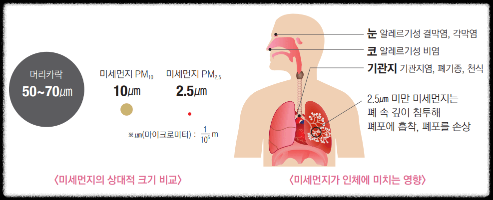 미세먼지가 신체에 미치는 영향