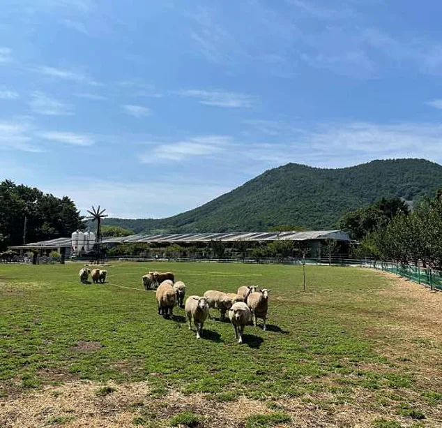 한우드림 동물체험장