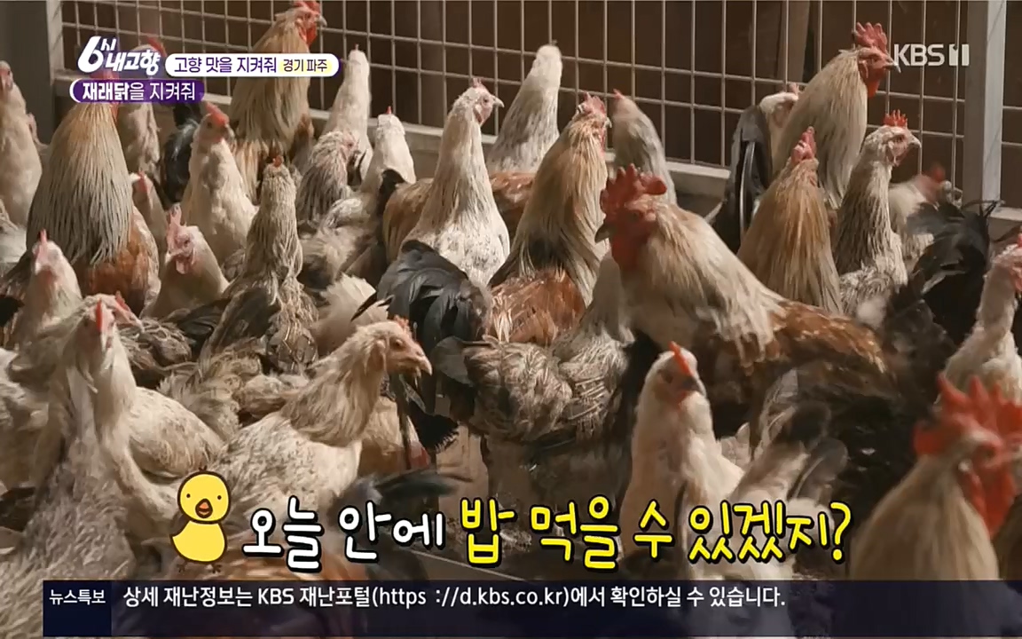 6시 내고향.E7618.220916p.H264-F1RST.mp4_20220920_204754.599.jpg