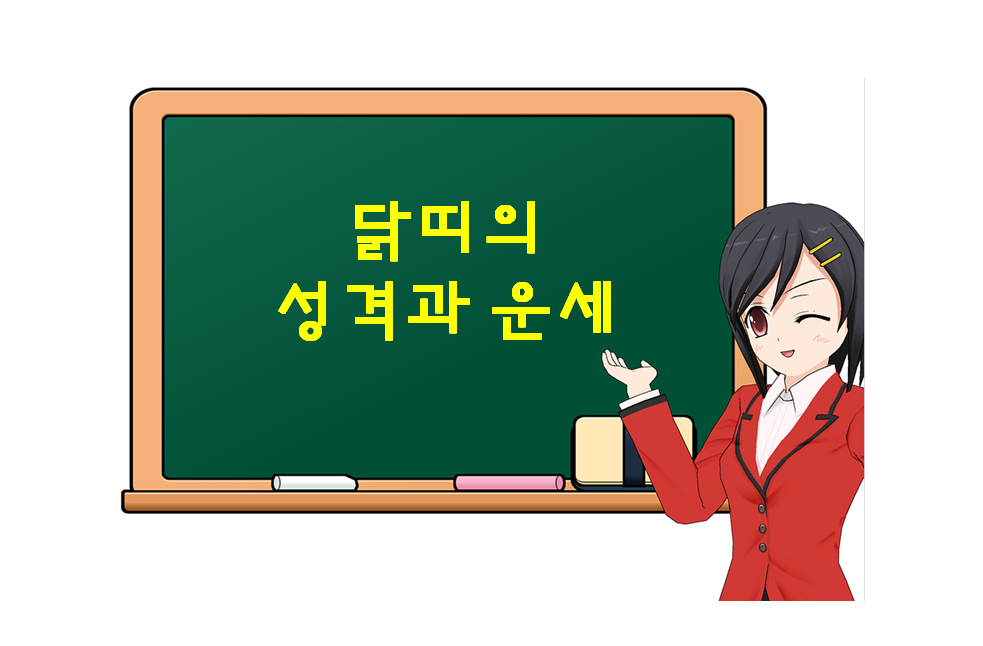  닭띠의 성격과 운세, 닭띠에 대해 궁금하다면?