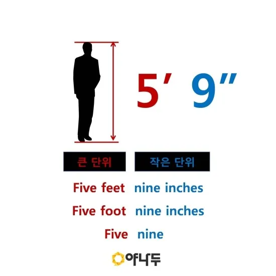 미국에서 사람 키 피트 5피트 10피트 얼마일까_2