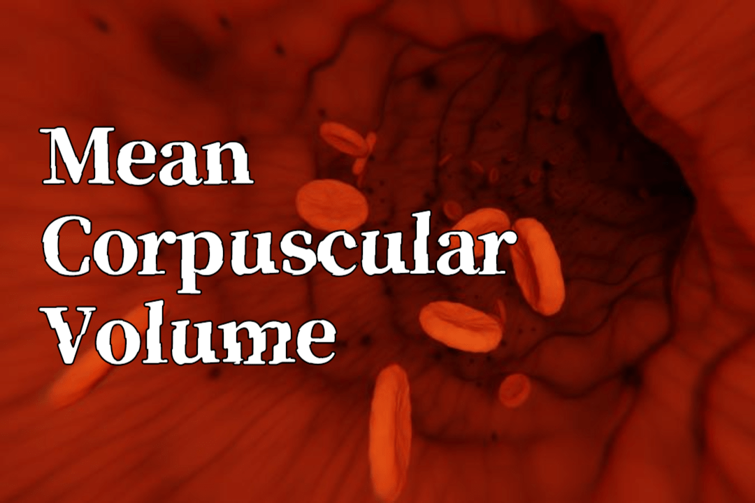 Mean Corpuscular Volume