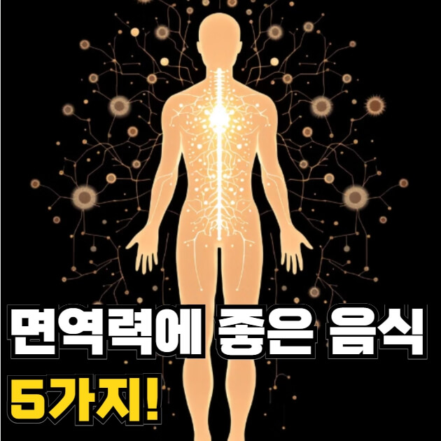 면역력에 좋은 음식