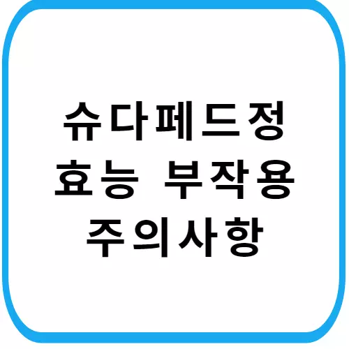 슈다페드정-주의사항