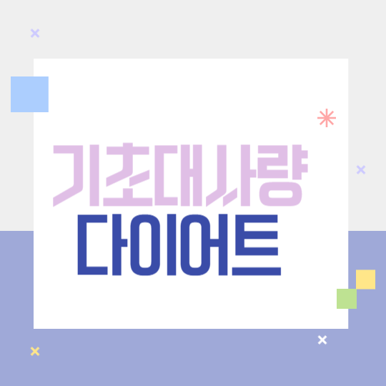 기초대사량과 다이어트