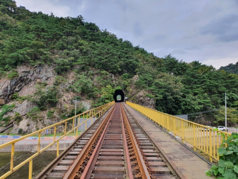  [원주여행] 원주 레일바이크