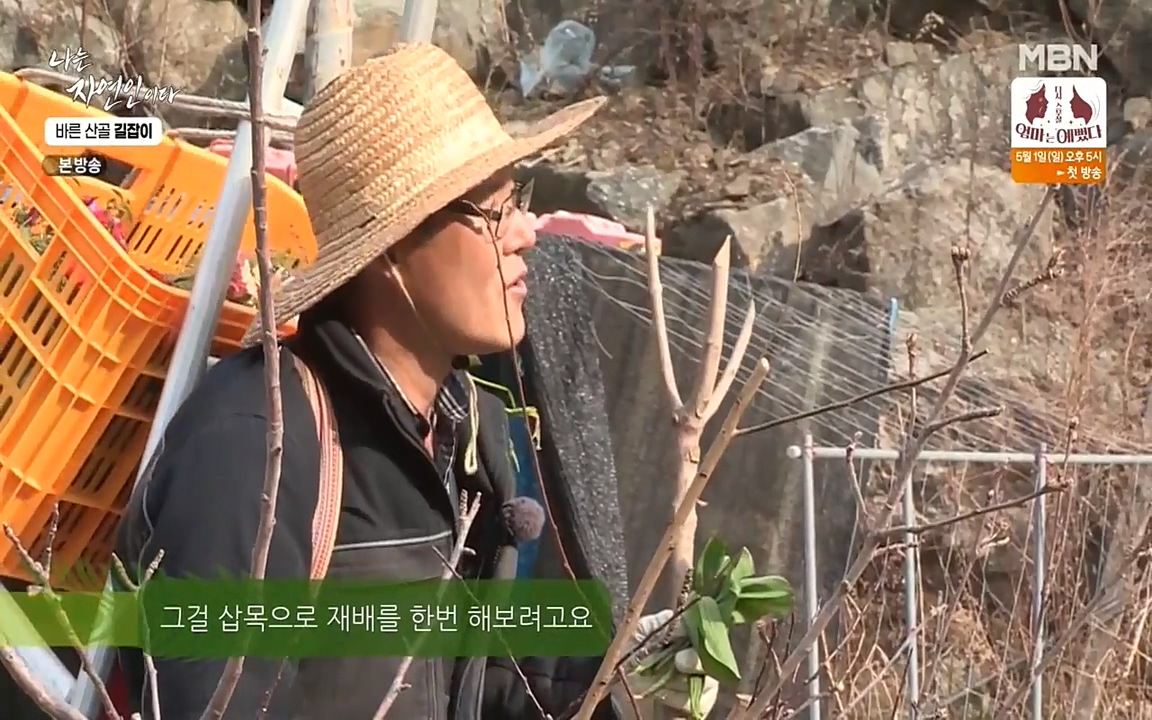 나는 자연인이다.E499.220428p-NEXT.mp4_20220428_173636.010.jpg