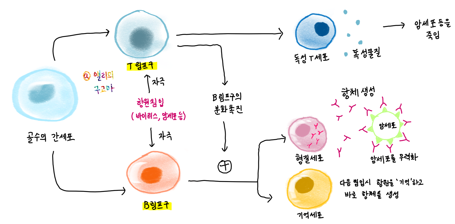  암, 알아야 이긴다: 면역항암제, 표적항암제, 화학항암제/항암제의 종류?