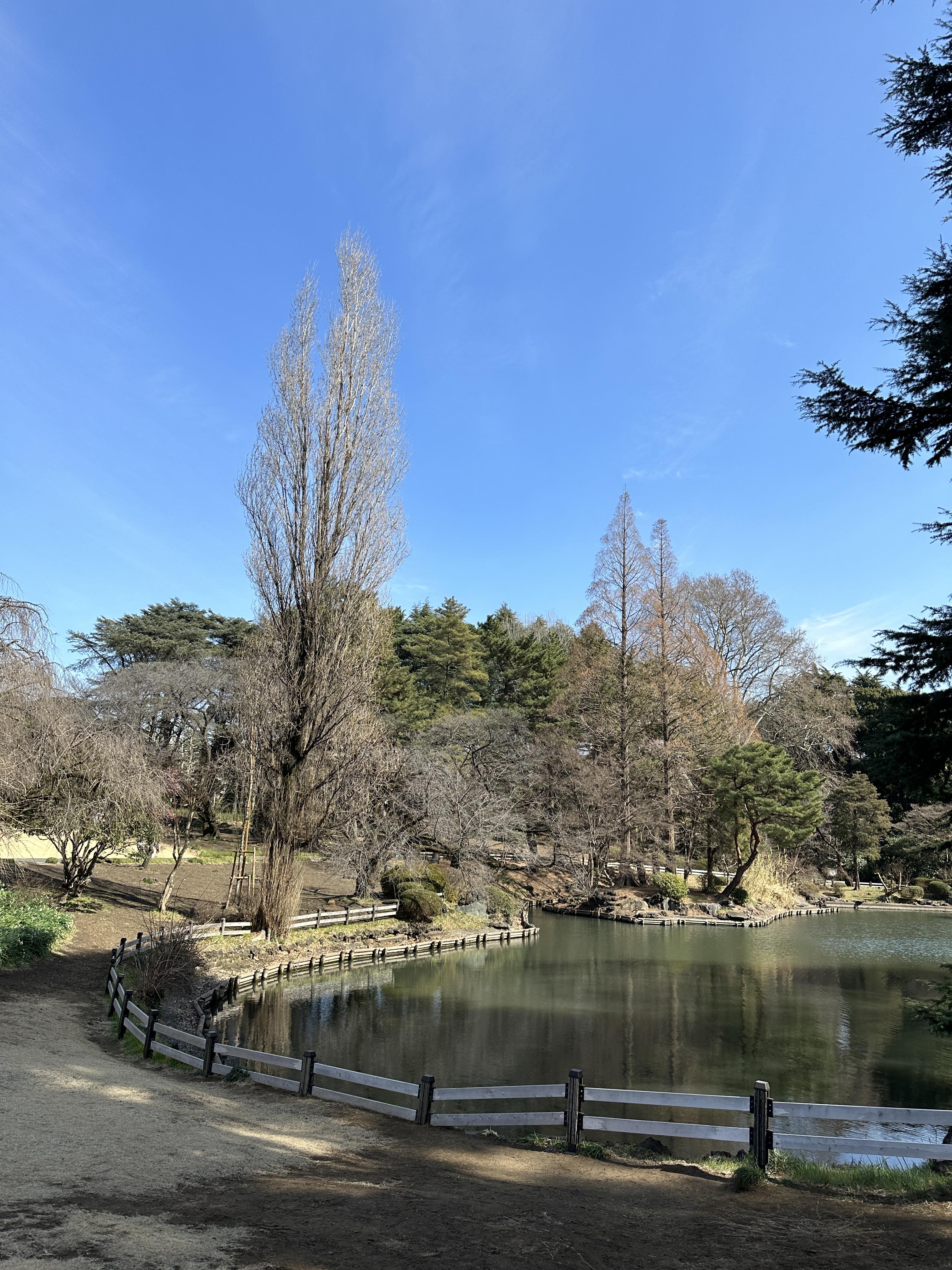 신주쿠 교엔마에 공원