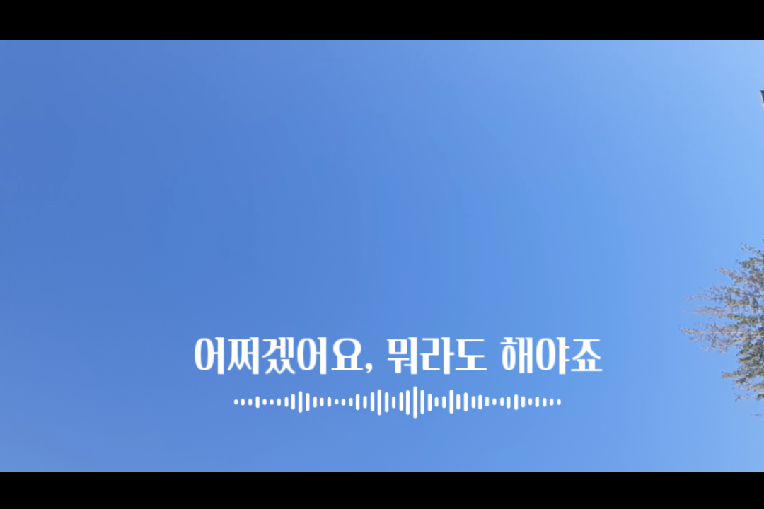  그렇지만 어쩌겠습니까, 뭐라도 해야죠