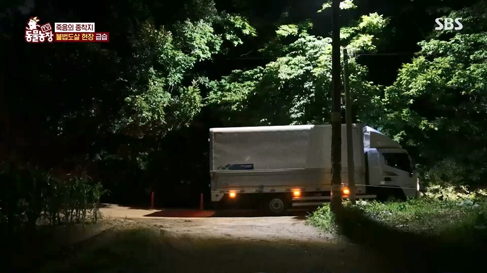 TV 동물농장.E1129.230716p.H264-F1RST.mp4_20230716_183638.362.jpg