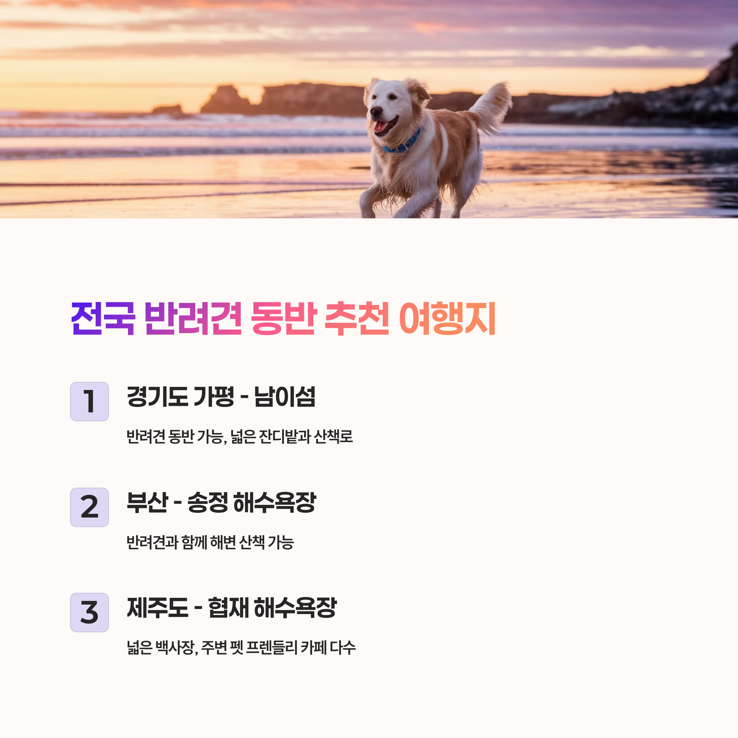 반려견과 함께 가기 좋은 국내 여행지