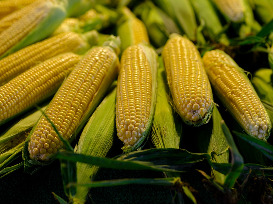 Corn