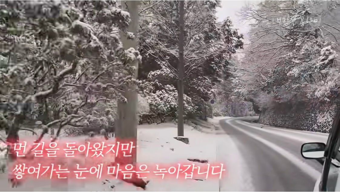  강남, 이상화 부부 日 여행 중 갑작스러운 폭설로..."찍을 때 아냐" 촬영 중단