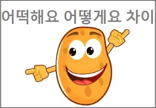 어떡해요 어떻게요 차이