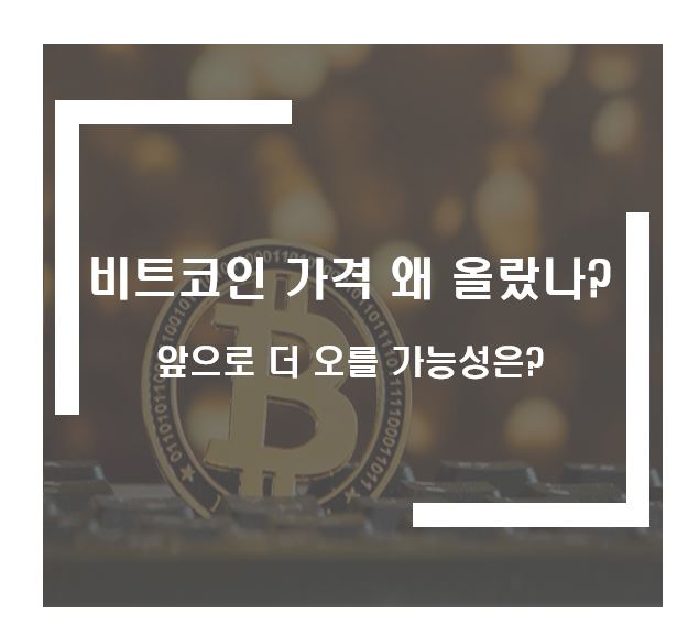 비트코인 왜 올랐을까?