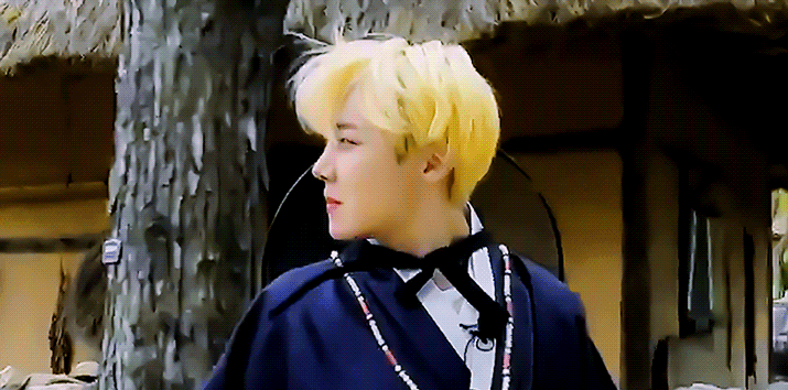 probably bieber or porn