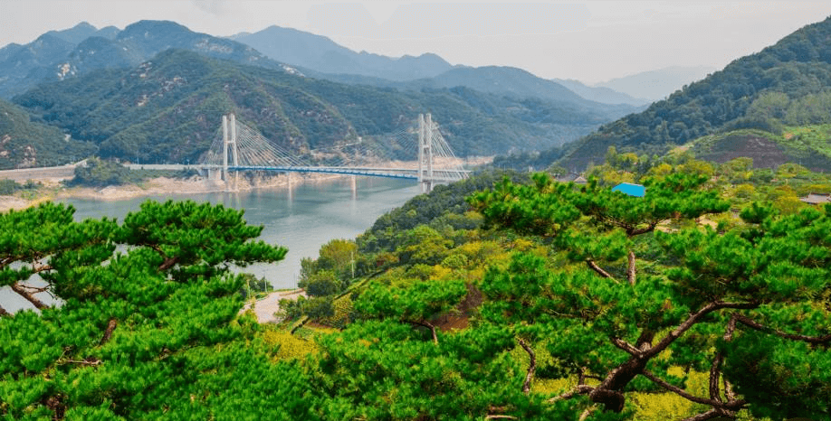 충주시 청년 소상공인 임차료 지원 신청