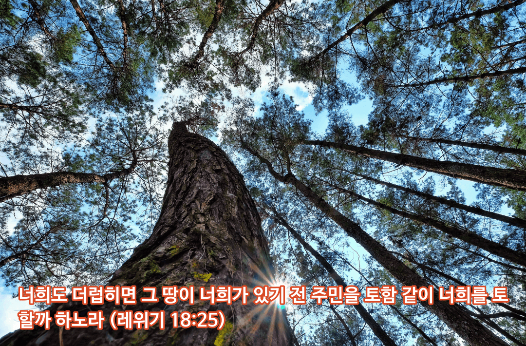 매일성경 &#124; 신명기 7장 1-11절 &#124; 진멸과 선택과 사랑과 보응과 구원