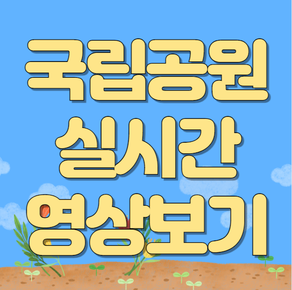  국립공원 실시간 영상보기 (국립공원 관리공단)