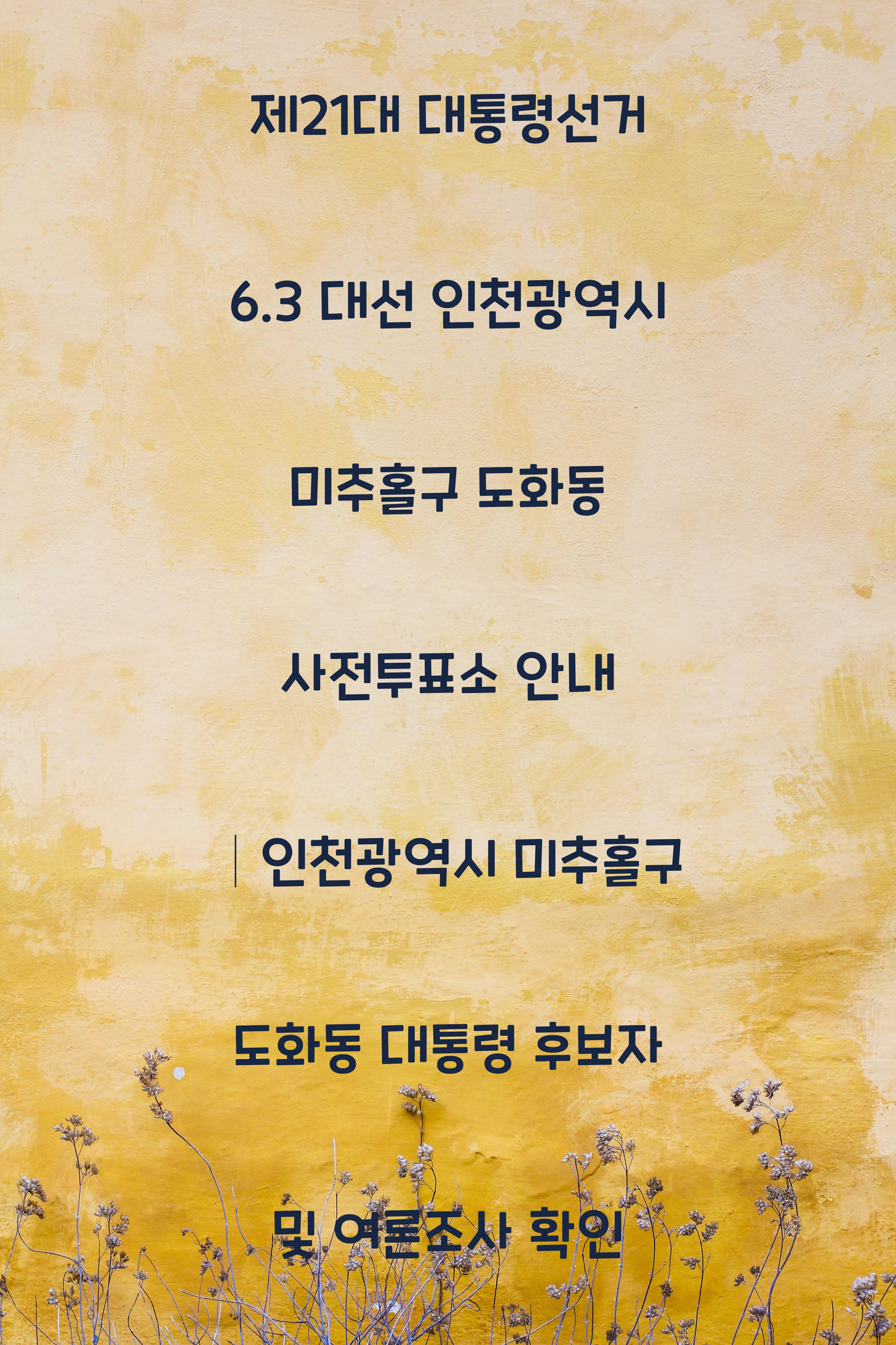 제21대 대통령선거 6.3 대선 인천광역시 미추홀구 도화동 사전투표소 안내 │인천광역시 미추홀구 도화동 대통령 후보자 및 여론조사 확인