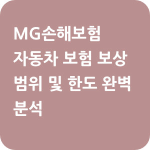 MG손해보험 자동차 보험 보상 범위 및 한도 완벽 분석