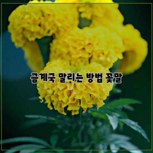  자신만의 의미로 꾸며보는 금계국 말리기