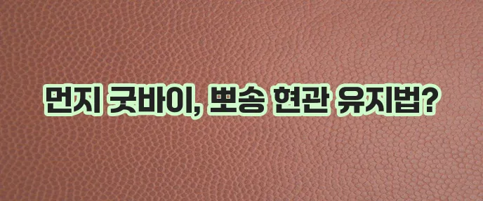 물 없이 더러운 현관 바닥 청소하는 방법 확실하게 알아보세요!