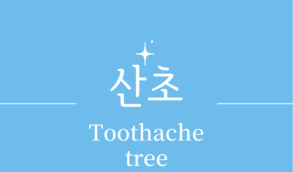 &#39;산초(Toothache tree)&#39;