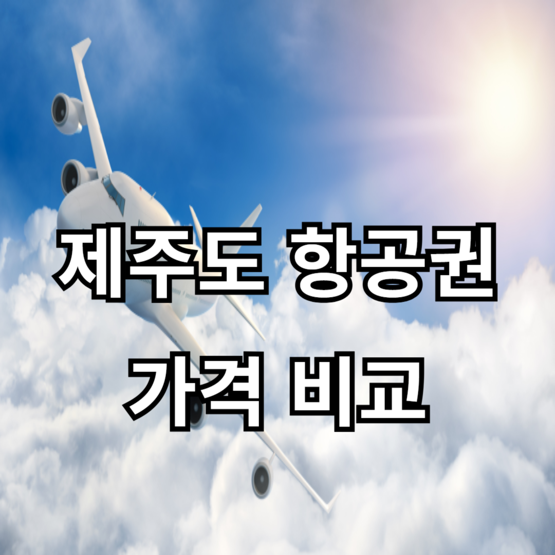 제주도 항공권