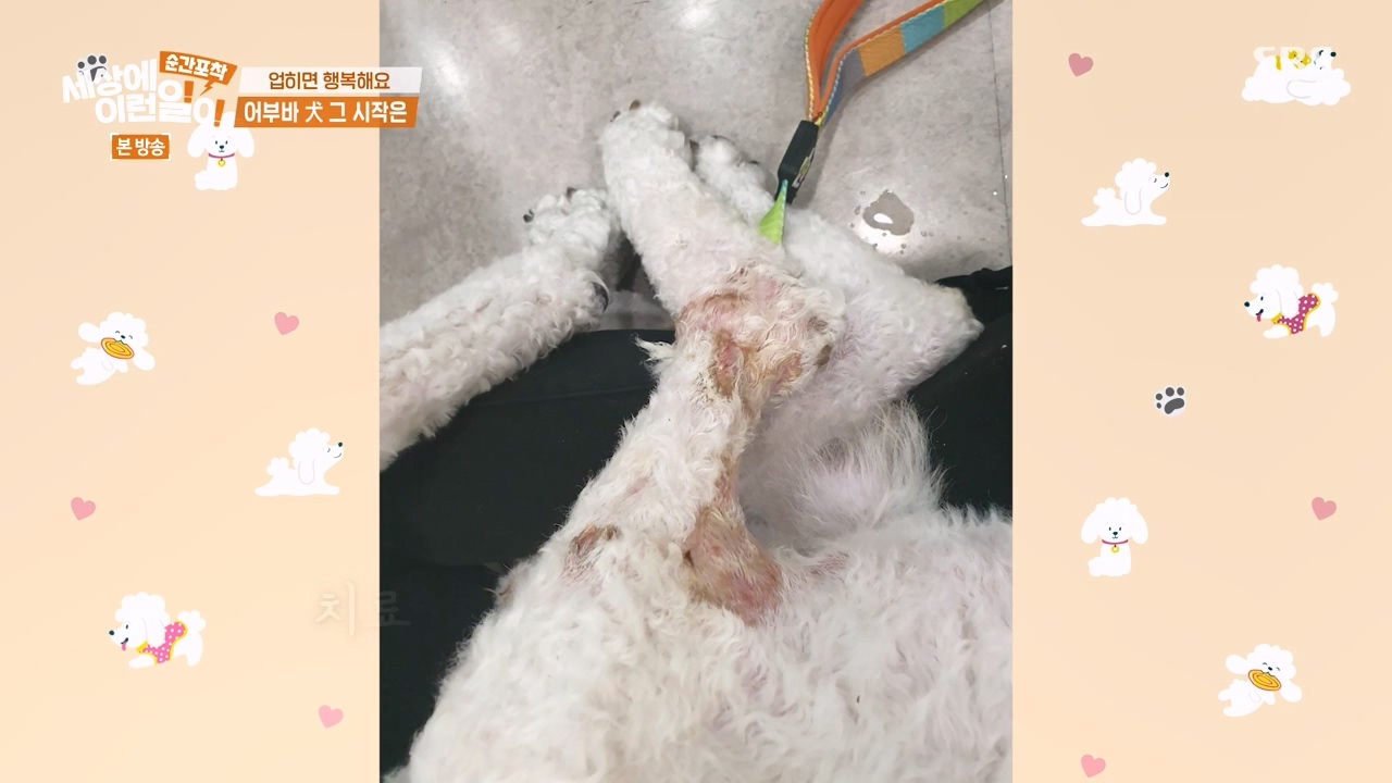 순간포착 세상에 이런일이.E1238.230723p-NEXT.mp4_20230724_205441.029.jpg