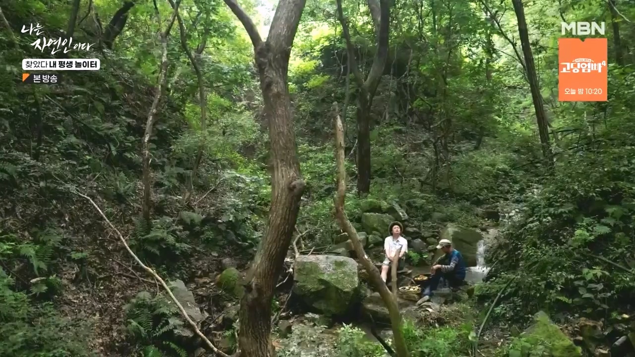 나는 자연인이다.E569.230831p-NEXT.mp4_20230831_201811.140.jpg