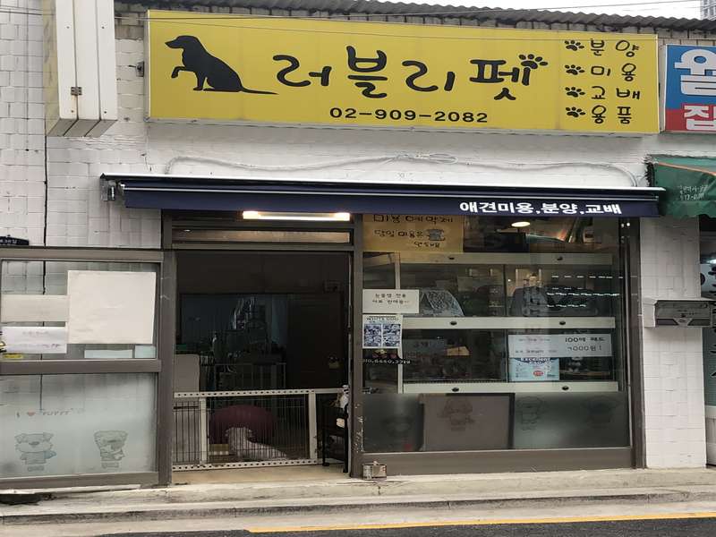 4호선 미아사거리역 애견미용 잘하는 곳 BEST4 | 예약하기 | 비숑 관리 | 푸들 목욕 | 맞춤형 서비스 | 후기 확인 | 총정리 - 3. 러블리펫 소개 3. 러블리펫 소개