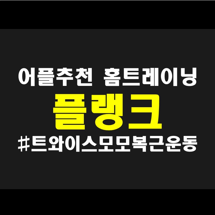  희철 의 그녀 트와이스 모모 플랭크 복근운동  : 뱃살 결별 어플 리뷰