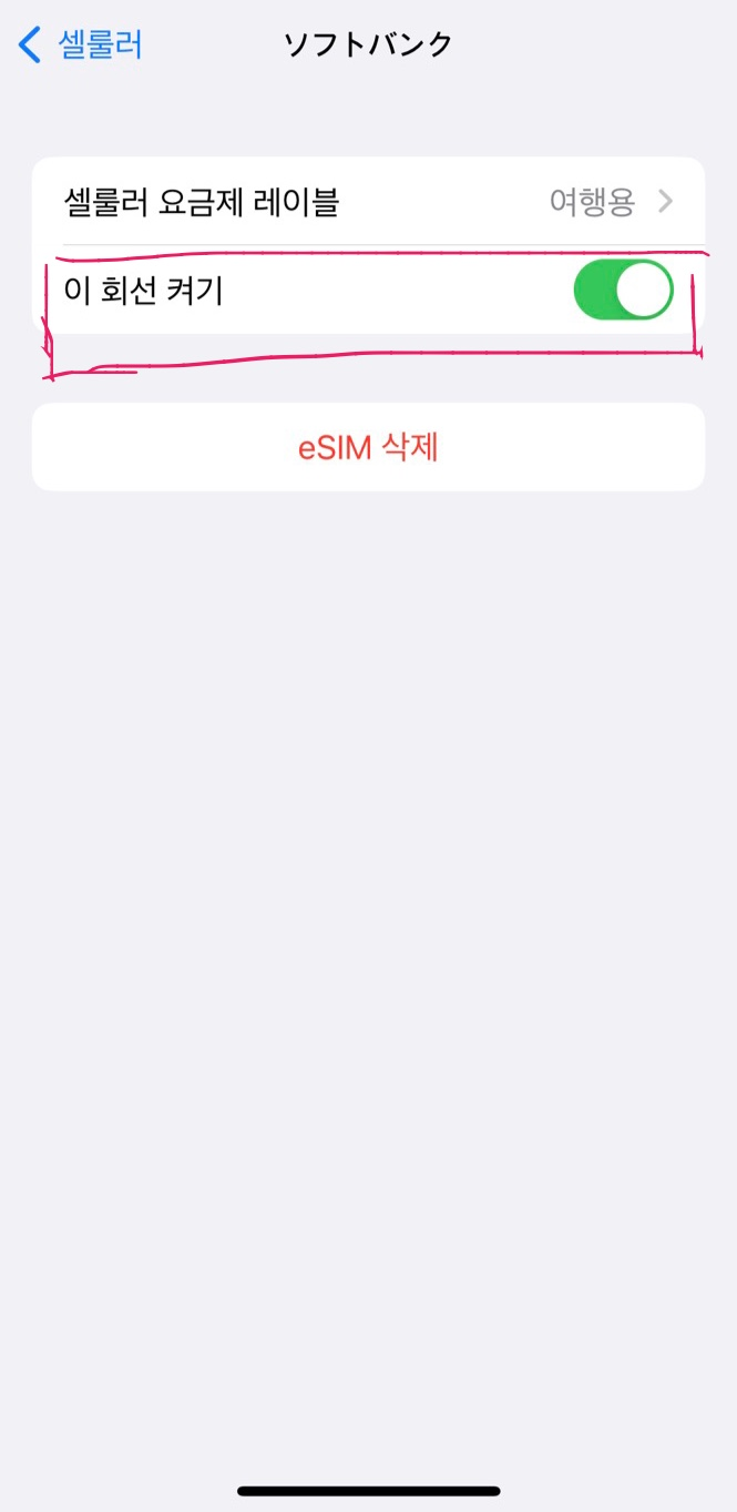 e-sim 설명 사진