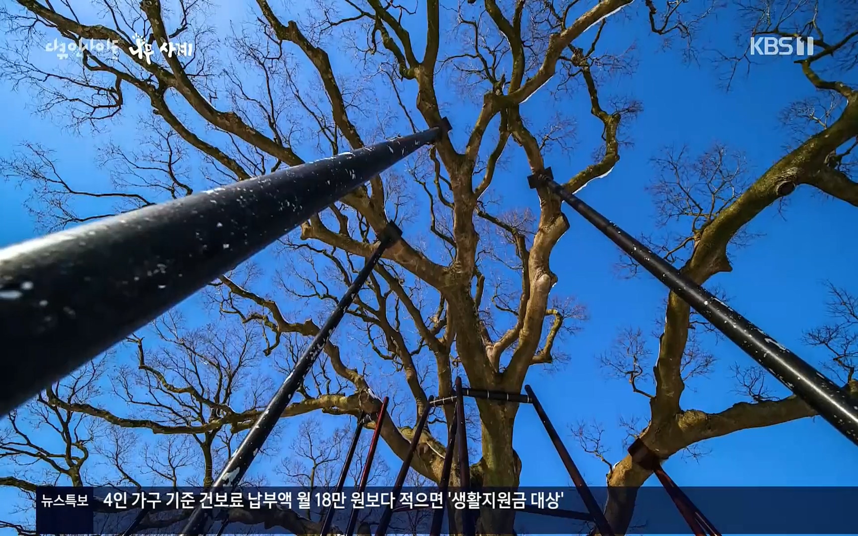 다큐 인사이트.E124.220908p.H264-F1RST.mp4_20220912_143724.389.jpg