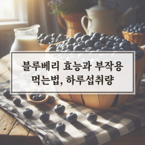 블루베리 효능과 부작용