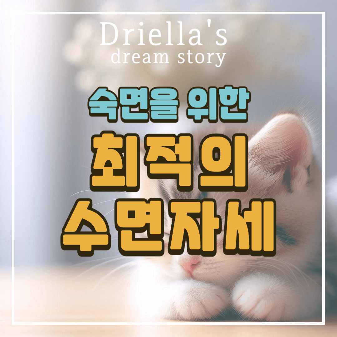 최적의 수면자세