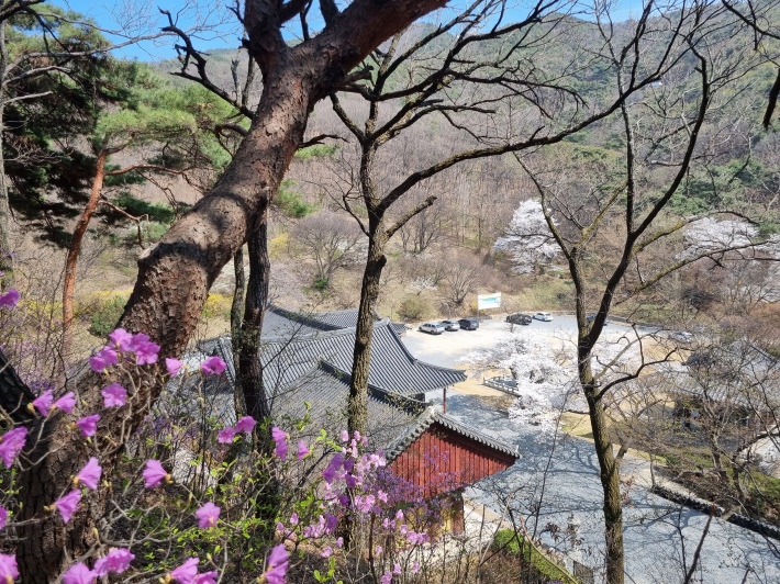 고산사