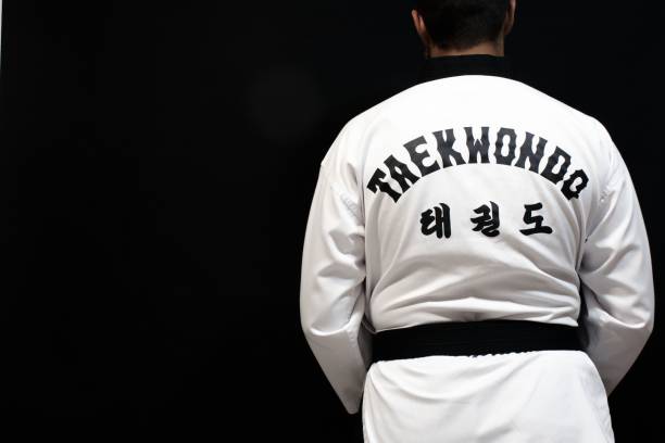 태권도의 역사와 기원, 기본 기술 및 훈련 방법, 문화적 영향