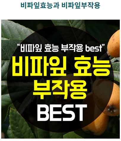  비파잎효능 이렇게 좋구나