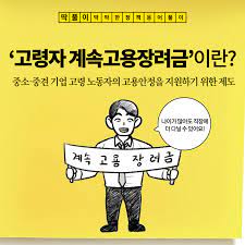 고령자 계속고용장려금