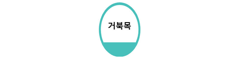  거북목 증상과 스트레칭 방법 숙지하기