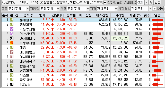  12월1일 코스피 코스닥 상한가 포함 상승률 상위 종목 TOP 100