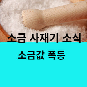  소금 사재기 소금값 폭등 얼마나 오를까