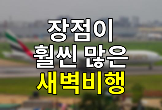 새벽 비행기의 숨겨진 매력, 왜 아침 일찍 떠나는 것이 최고일까?